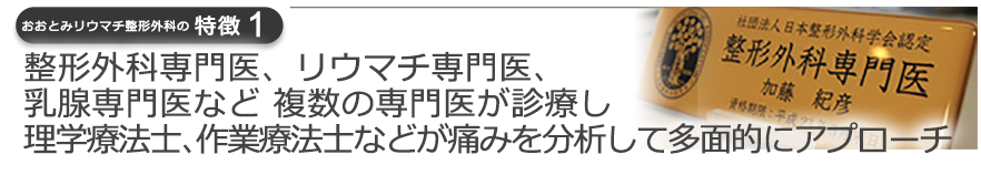 整形外科専門医、リウマチ専門医、乳腺専門医など 複数の専門医が診療し理学療法士、作業療法士などが痛みを分析して多面的にアプローチ