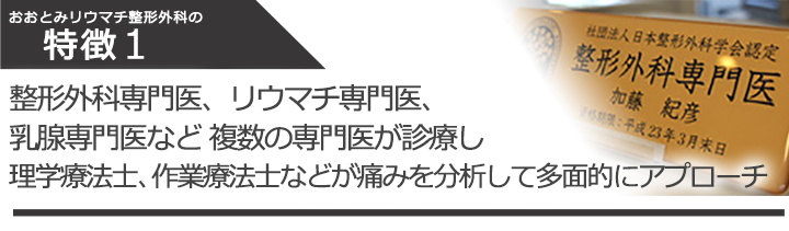 整形外科専門医、リウマチ専門医、乳腺専門医など 複数の専門医が診療し理学療法士、作業療法士などが痛みを分析して多面的にアプローチ
